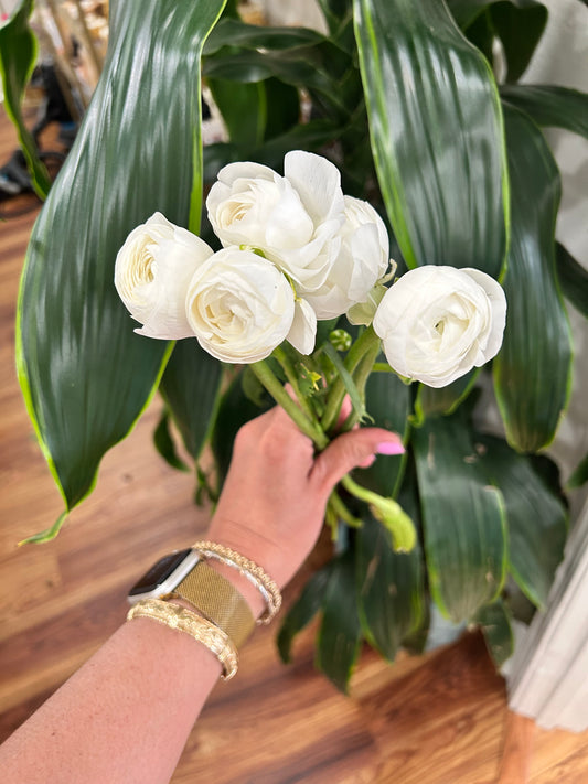 Sussie Blooms Lisianthus White