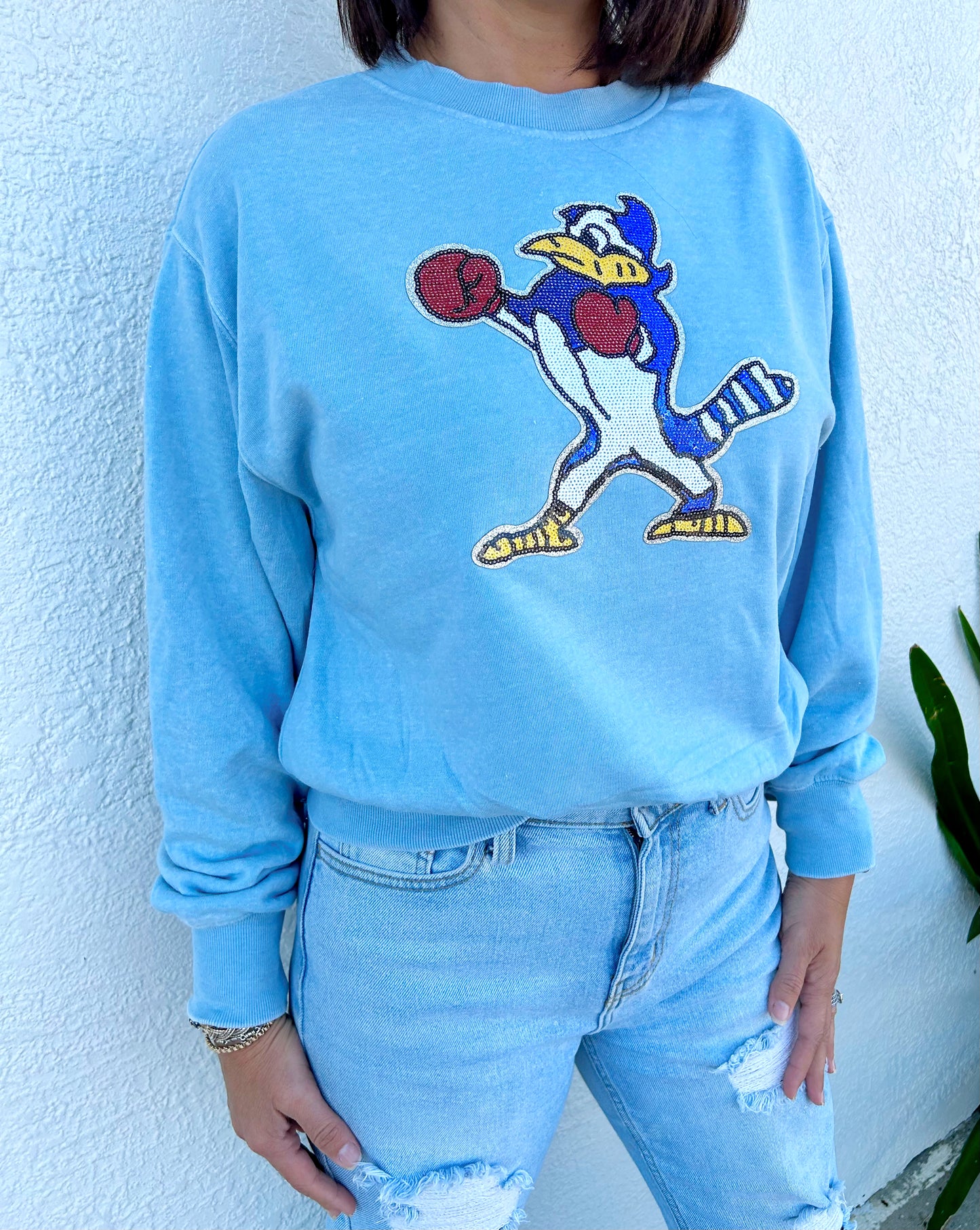 Blue Jay Vintage Band Sweatshirt