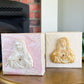 Immaculate Heart of Mary- Silhouette on 4x4 Pink Canvas