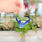 Blue Jay with Charm Ornament
