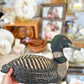 Loon Duck Figurine Pillow