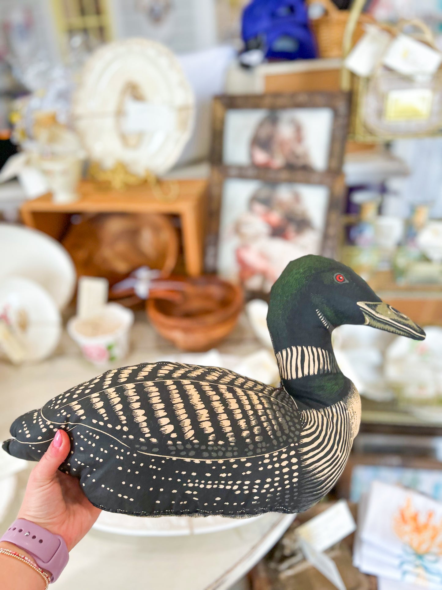 Loon Duck Figurine Pillow
