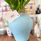 Ocean Blues Vase/Pot with Live Peace Lily