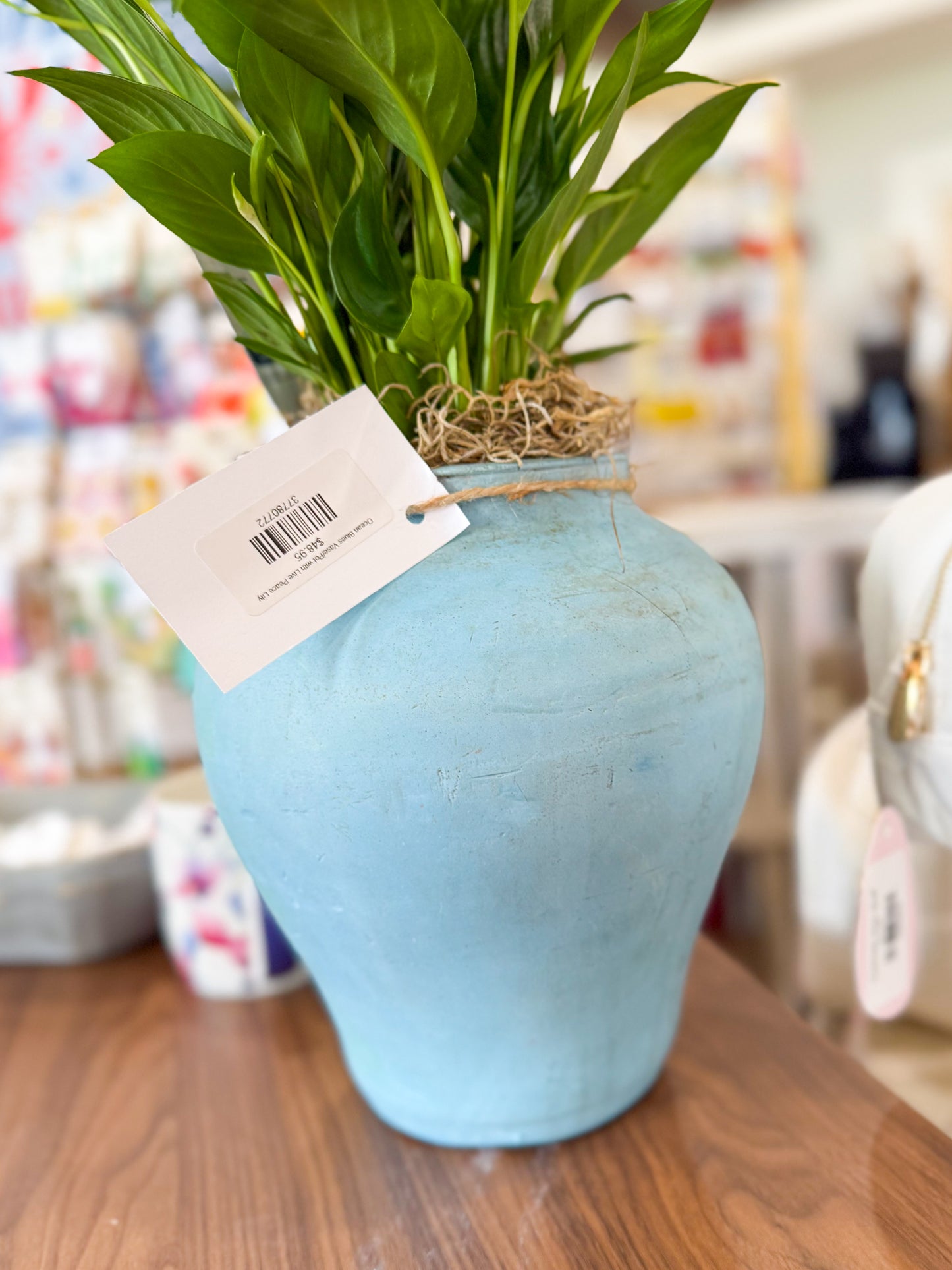 Ocean Blues Vase/Pot with Live Peace Lily