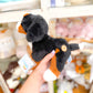 Webkinz Bernese Mountain Dog Plush