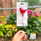 Cardinal of Comfort Floral Stake