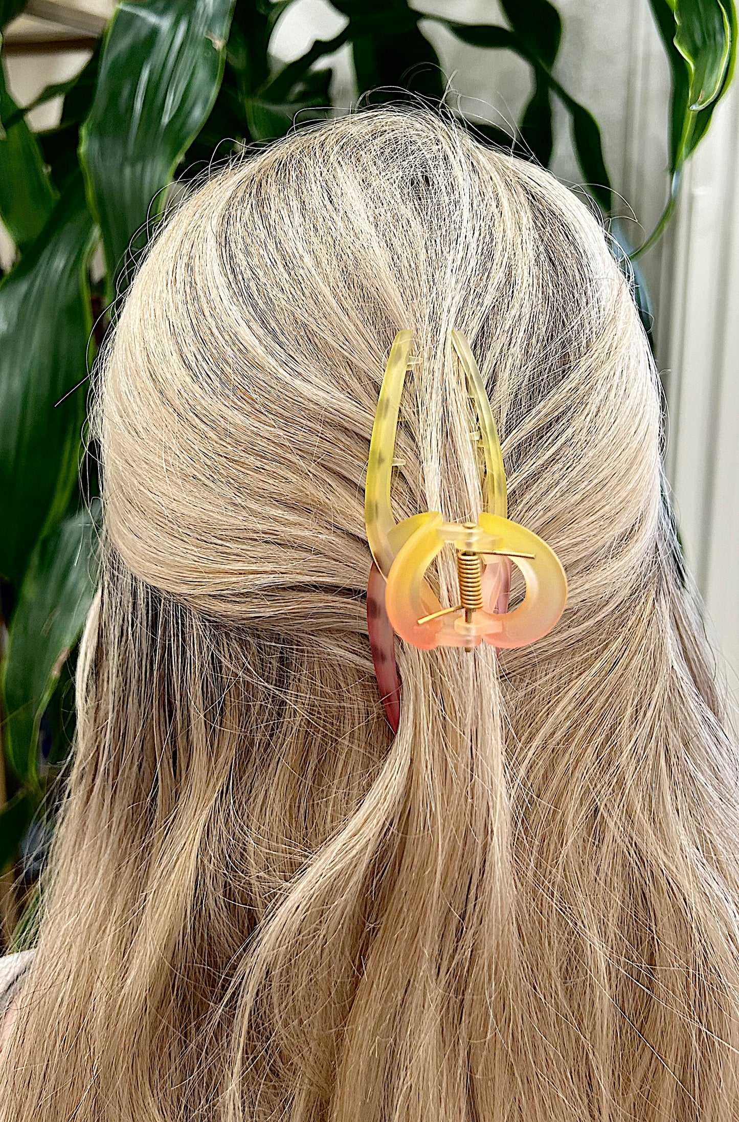 Ombre Claw Clip
