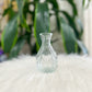 Clear Glass Bud Vase