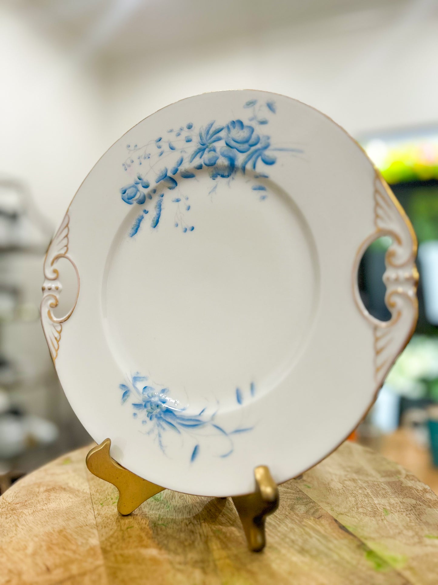 The Blue Porcelain Handle Plate
