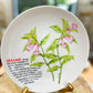 The Sesame Bloom Plate