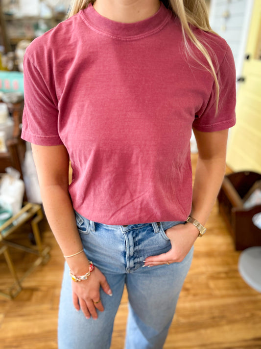 Brick- Basic Fit T-Shirt Comfort Colors