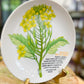 The White Mustard Plate