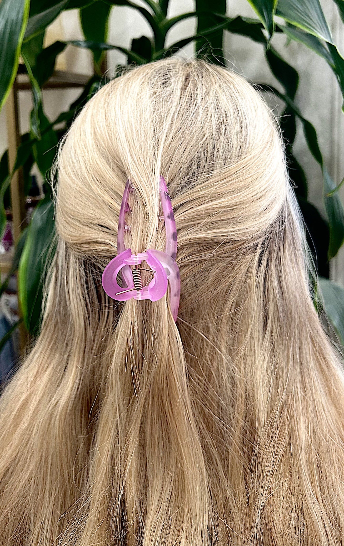 Ombre Claw Clip