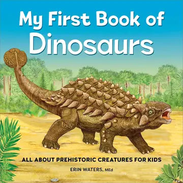 My First Book of Dinosaurs