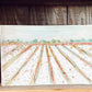 Cotton Field 16x10x2