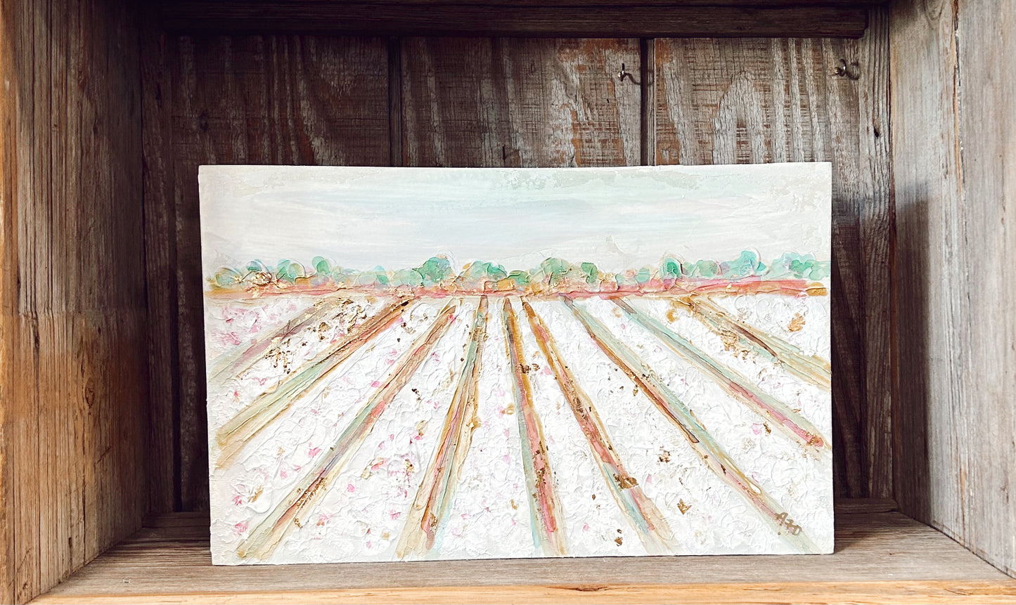 Cotton Field 16x10x2