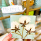 Southern Cotton Artwork