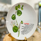 The Caper Study Plate