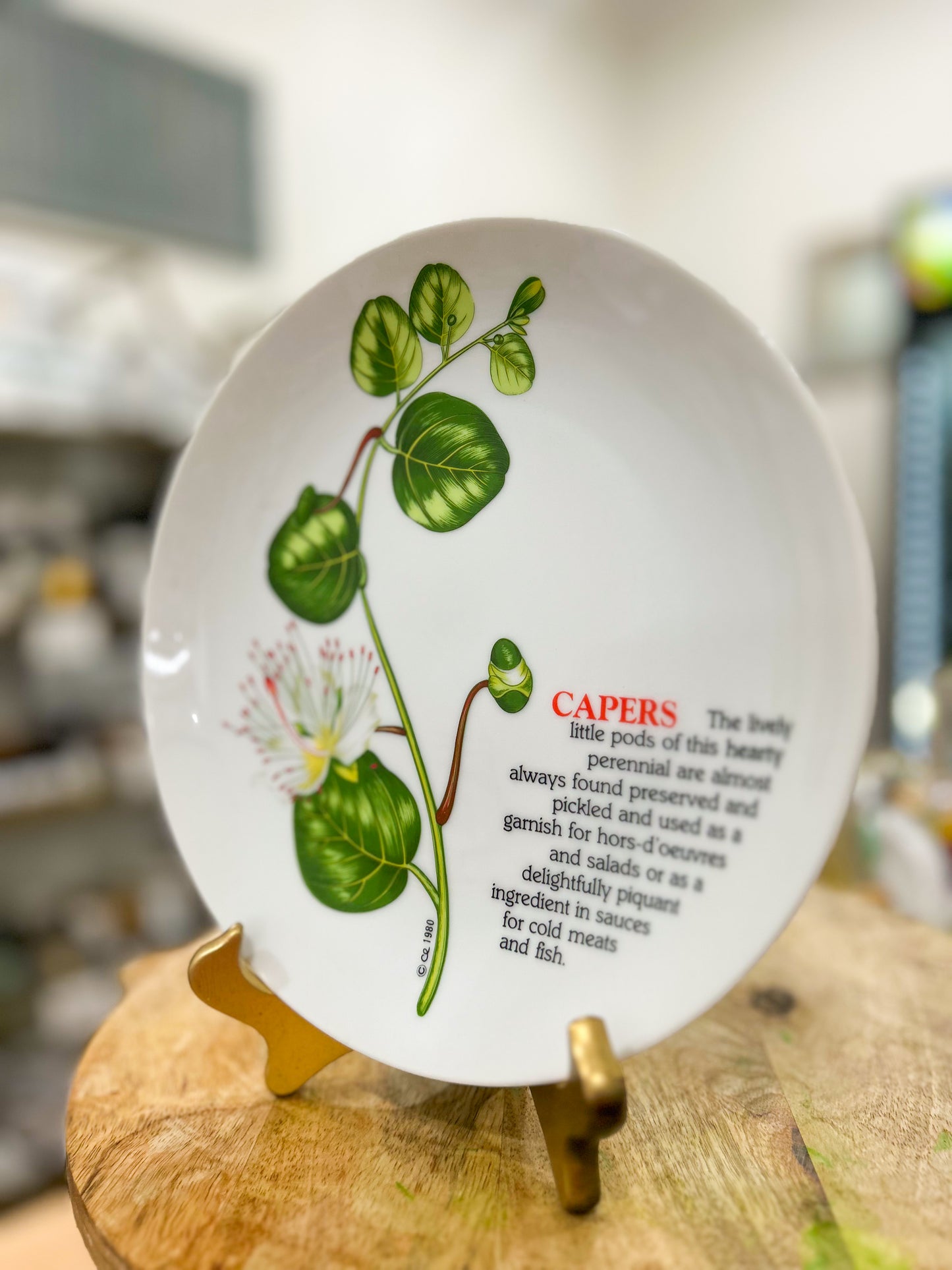 The Caper Study Plate