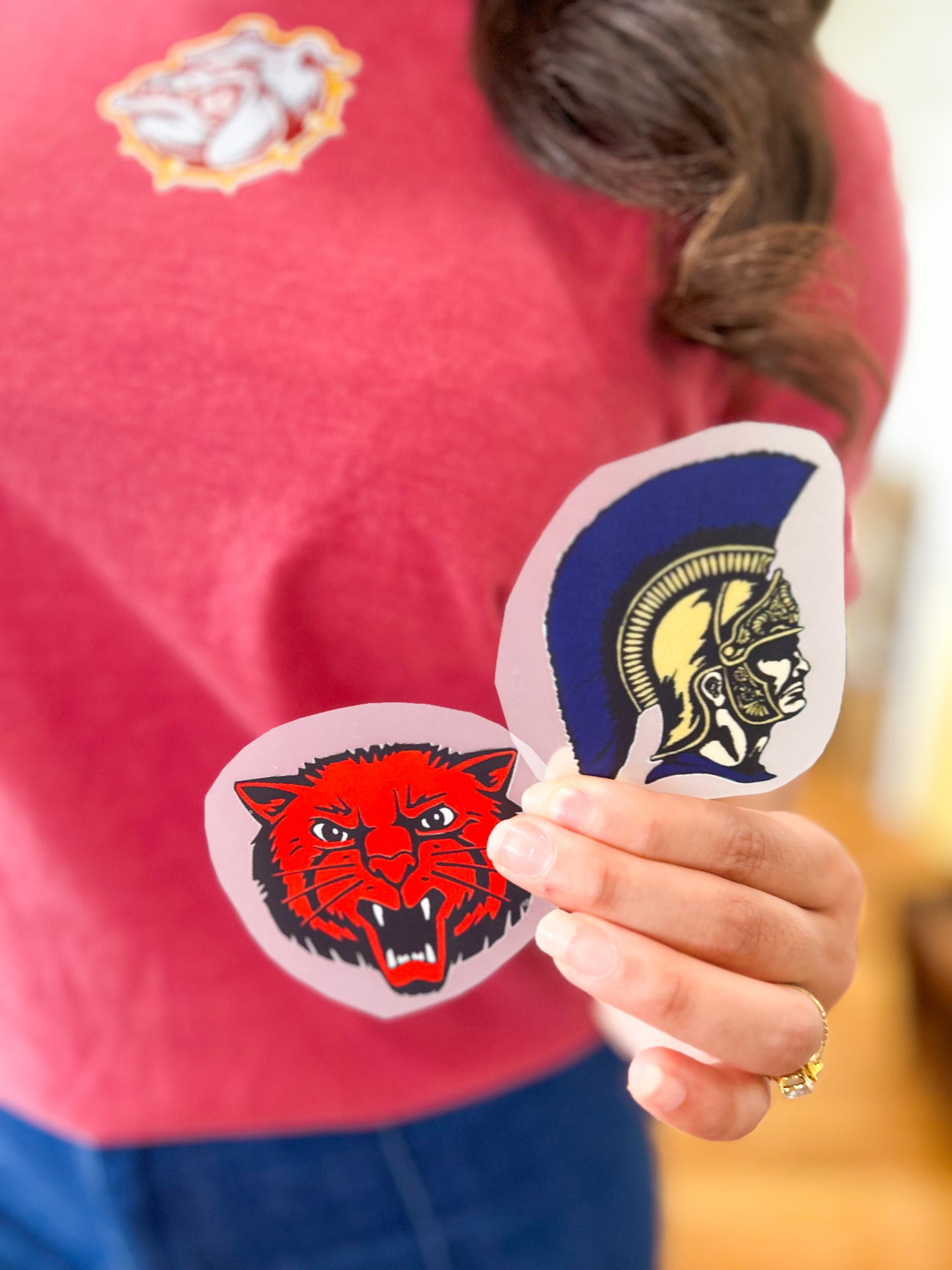 Transfer-Bearcat Mascot