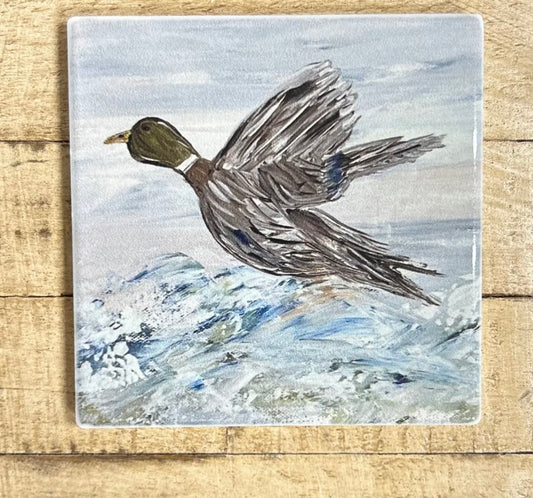 GA Duck Flying Coaster