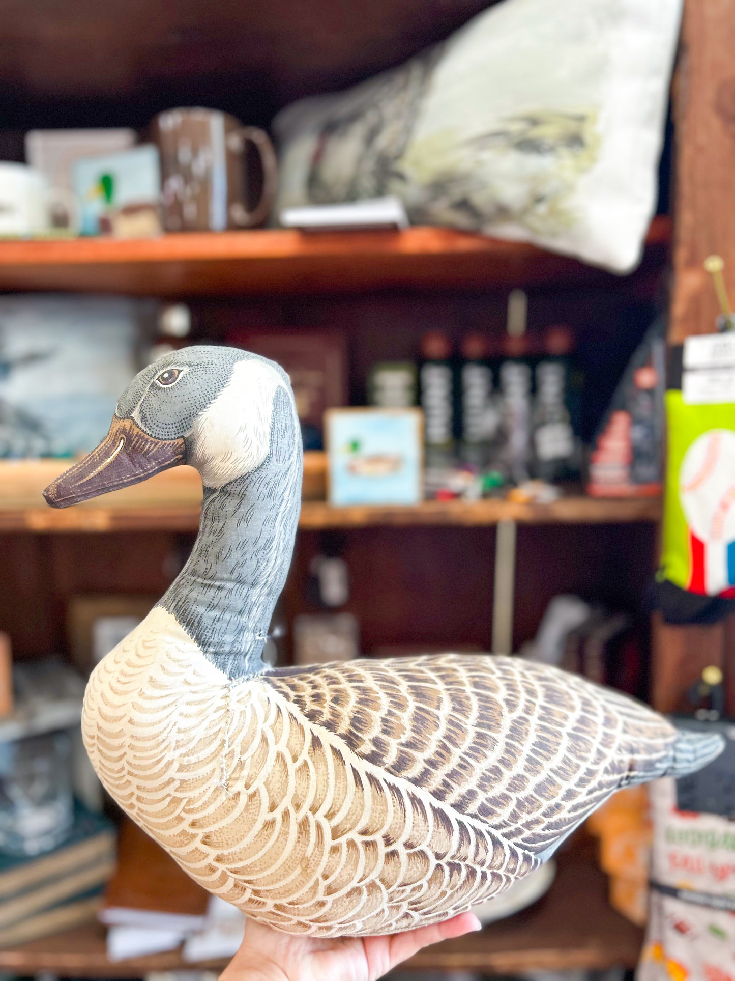 Vintage Waterfowl Pillow