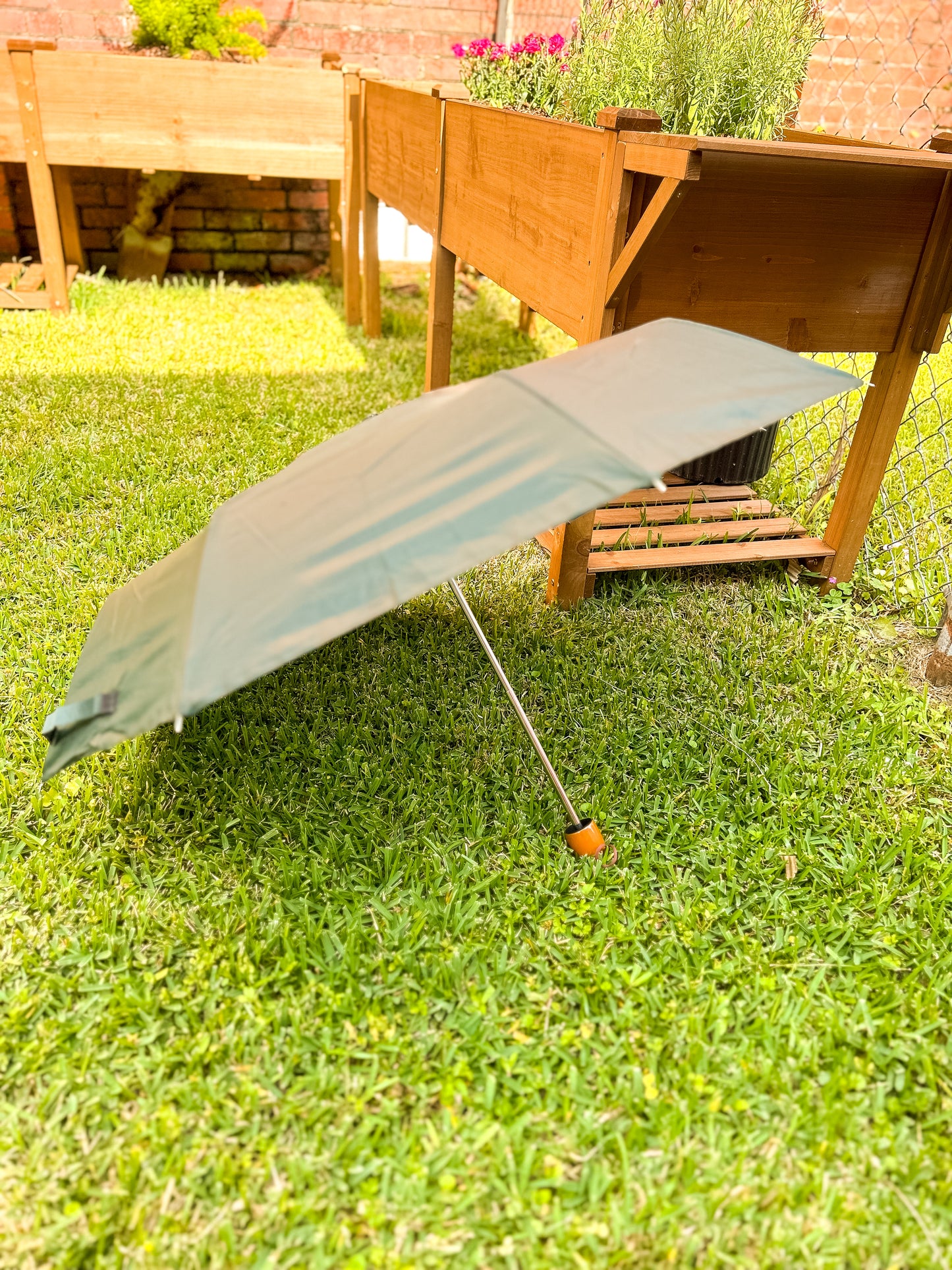 Solid Color Compact Umbrella