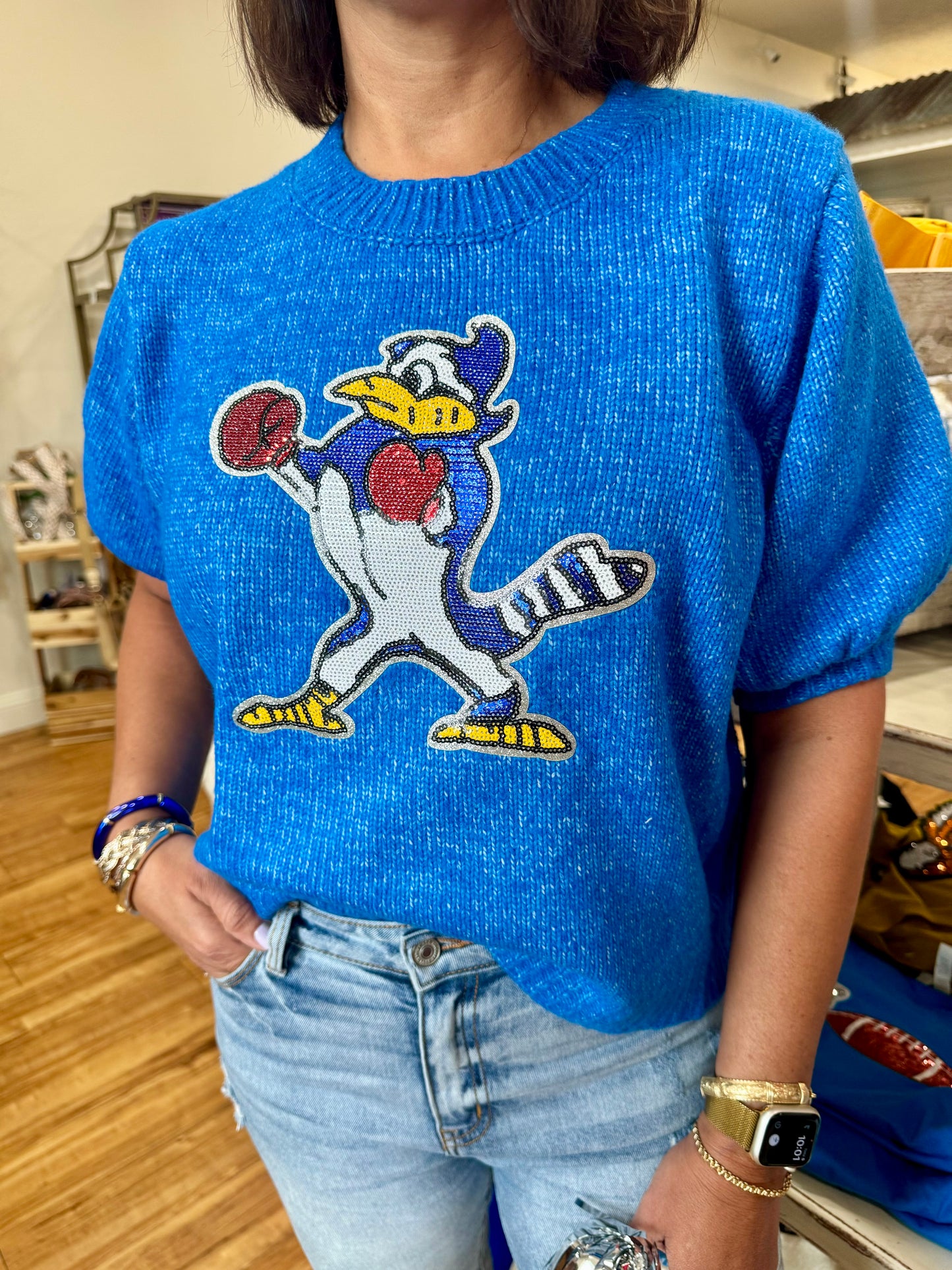 Blue Puff Sleeve Blue Jay Sweater