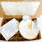 The Baptismal Shell