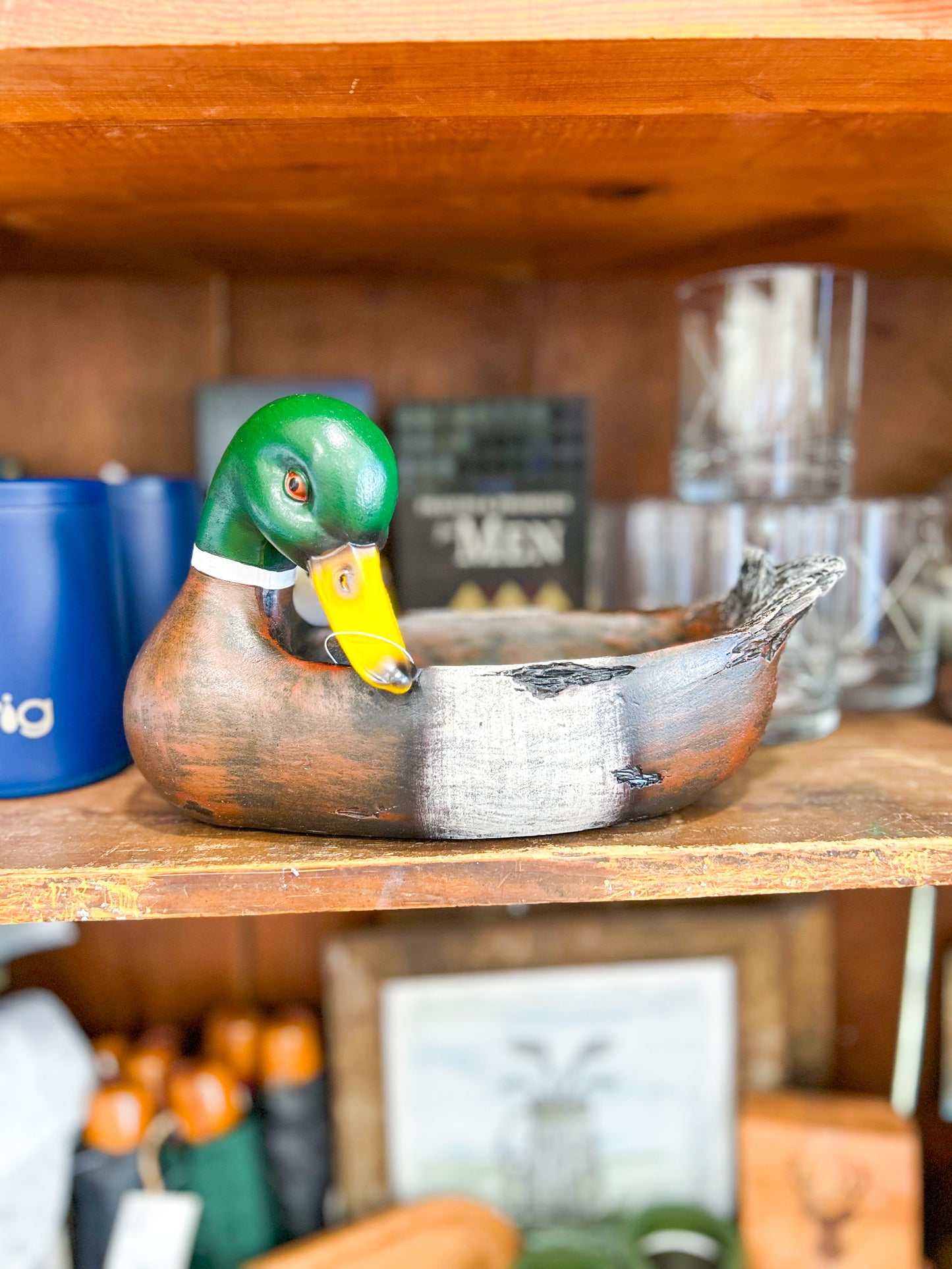 Resin Duck Bowl