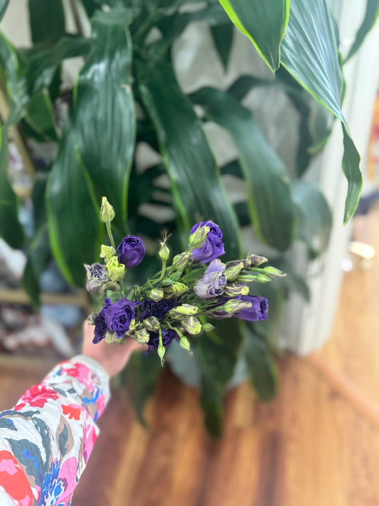 Sussie Blooms Lisianthus Double Purple