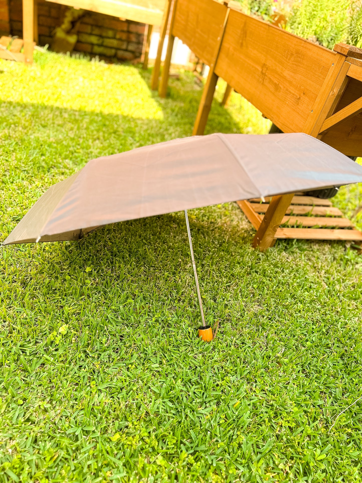 Solid Color Compact Umbrella