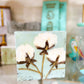 Southern Cotton Artwork