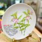 The Sesame Bloom Plate