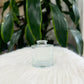 Clear Glass Bud Vase