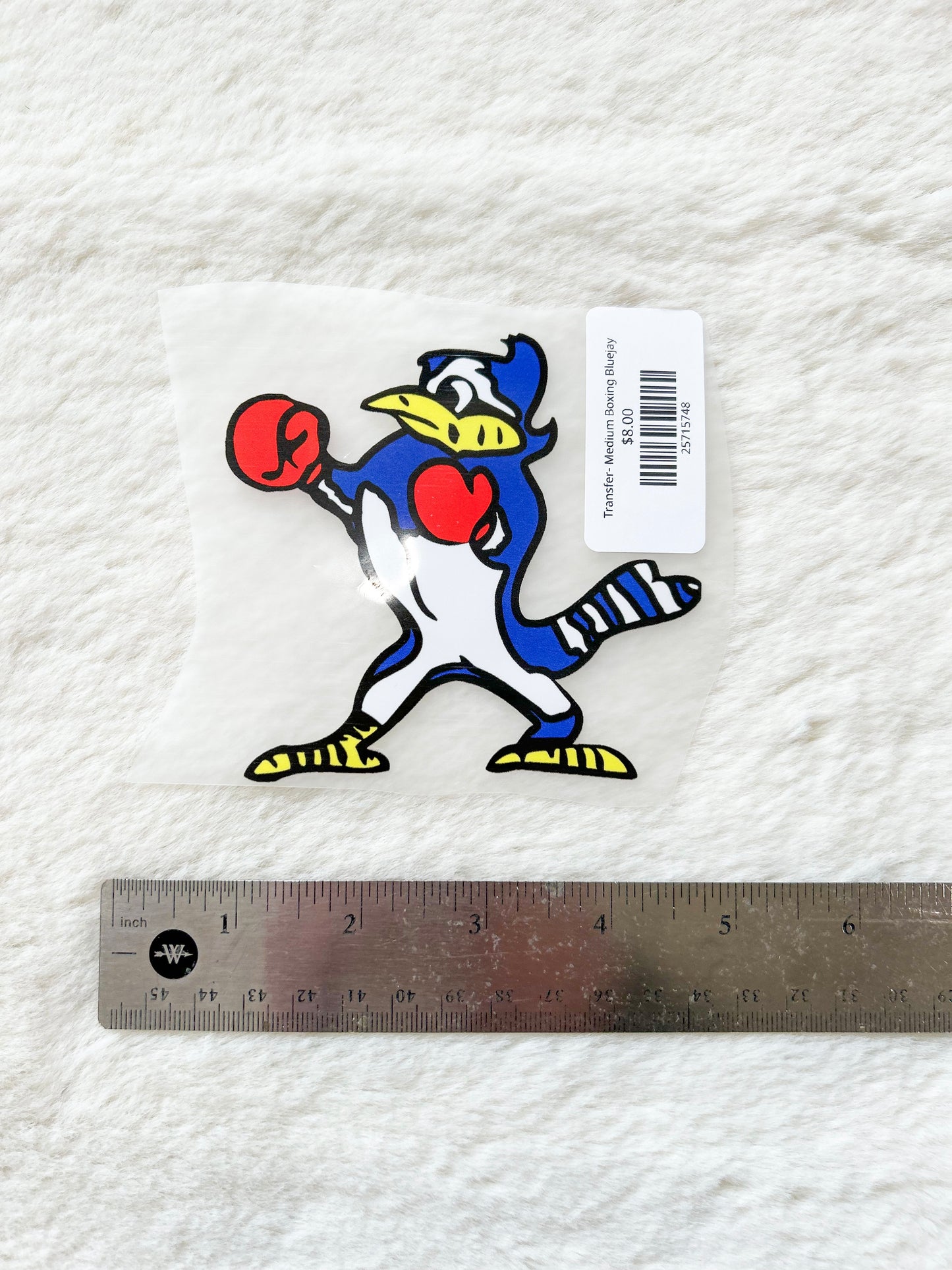 Transfer- Medium Boxing Bluejay