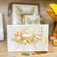 Gospel News 4X6 Baby Jesus Canvas Art