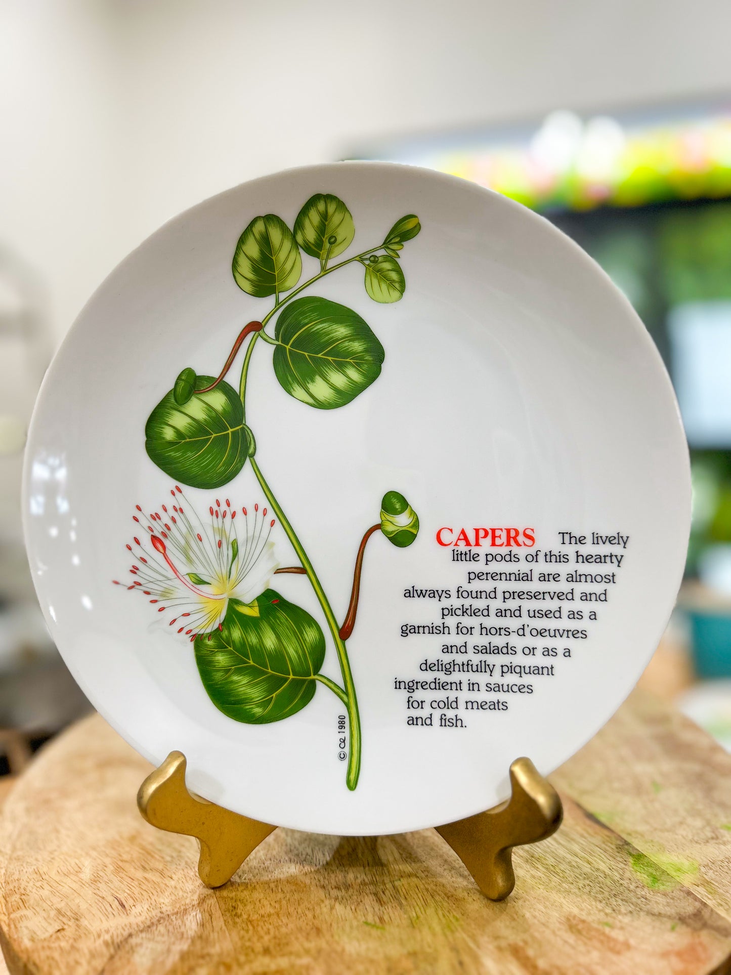 The Caper Study Plate