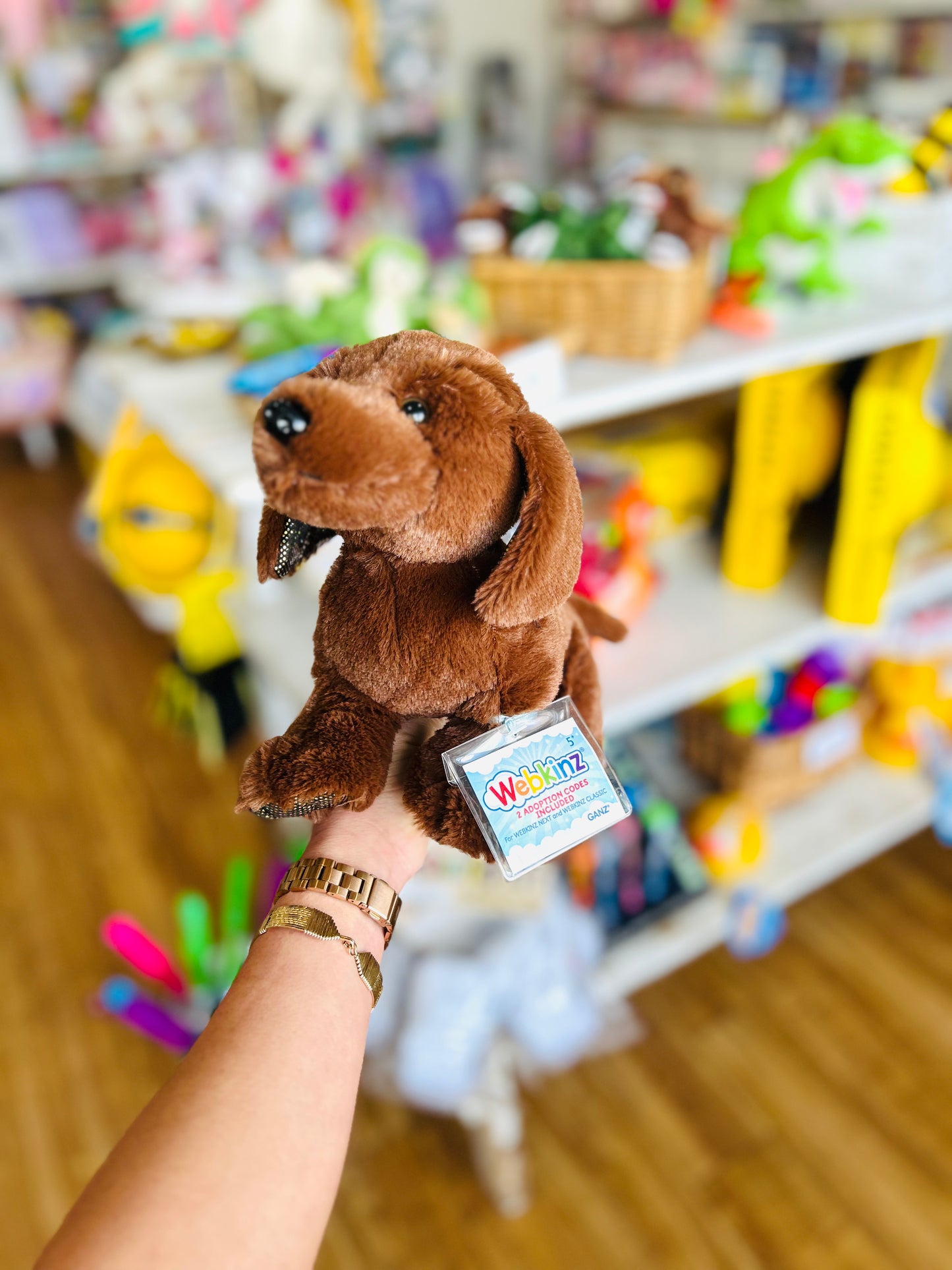 Webkinz- Chocolate Lab