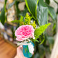 $15 Sussie Bloom Floral Arrangement