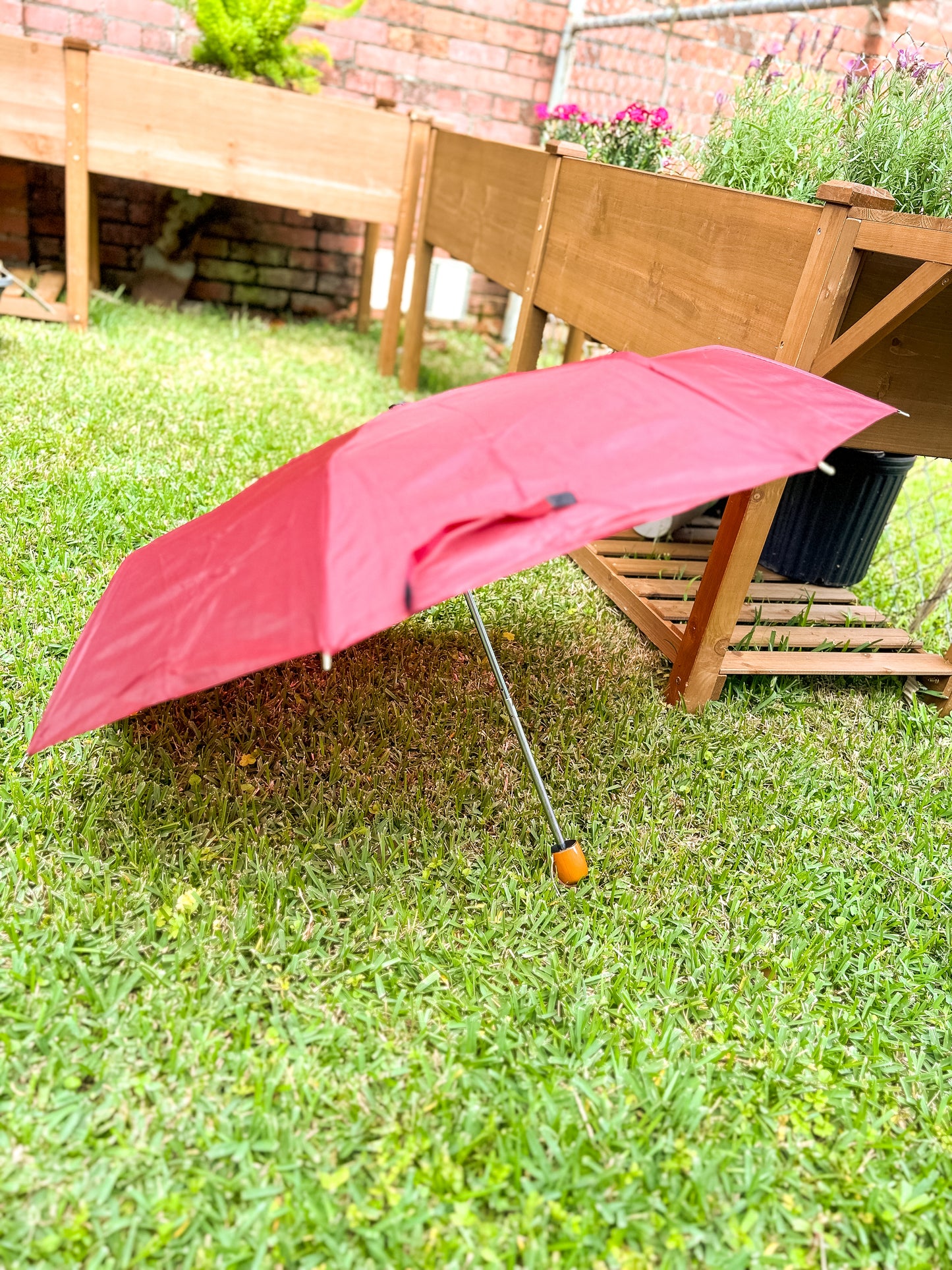 Solid Color Compact Umbrella