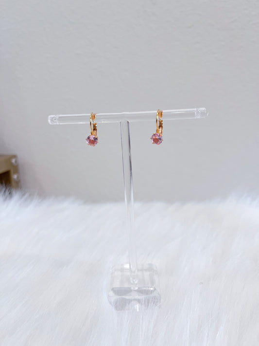 Kids Clasp Gem Earrings