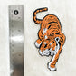 Patch- Crawling Tiger