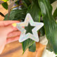 Patch- Sequin Star Cut Out