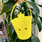 Easter Bucket Wrap
