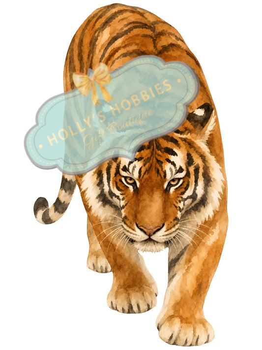 Transfer-Small Tiger on the Prowl