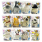 So Much Fun! Squishy Pets Keepsake