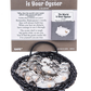 The World is Your Oyster Charm